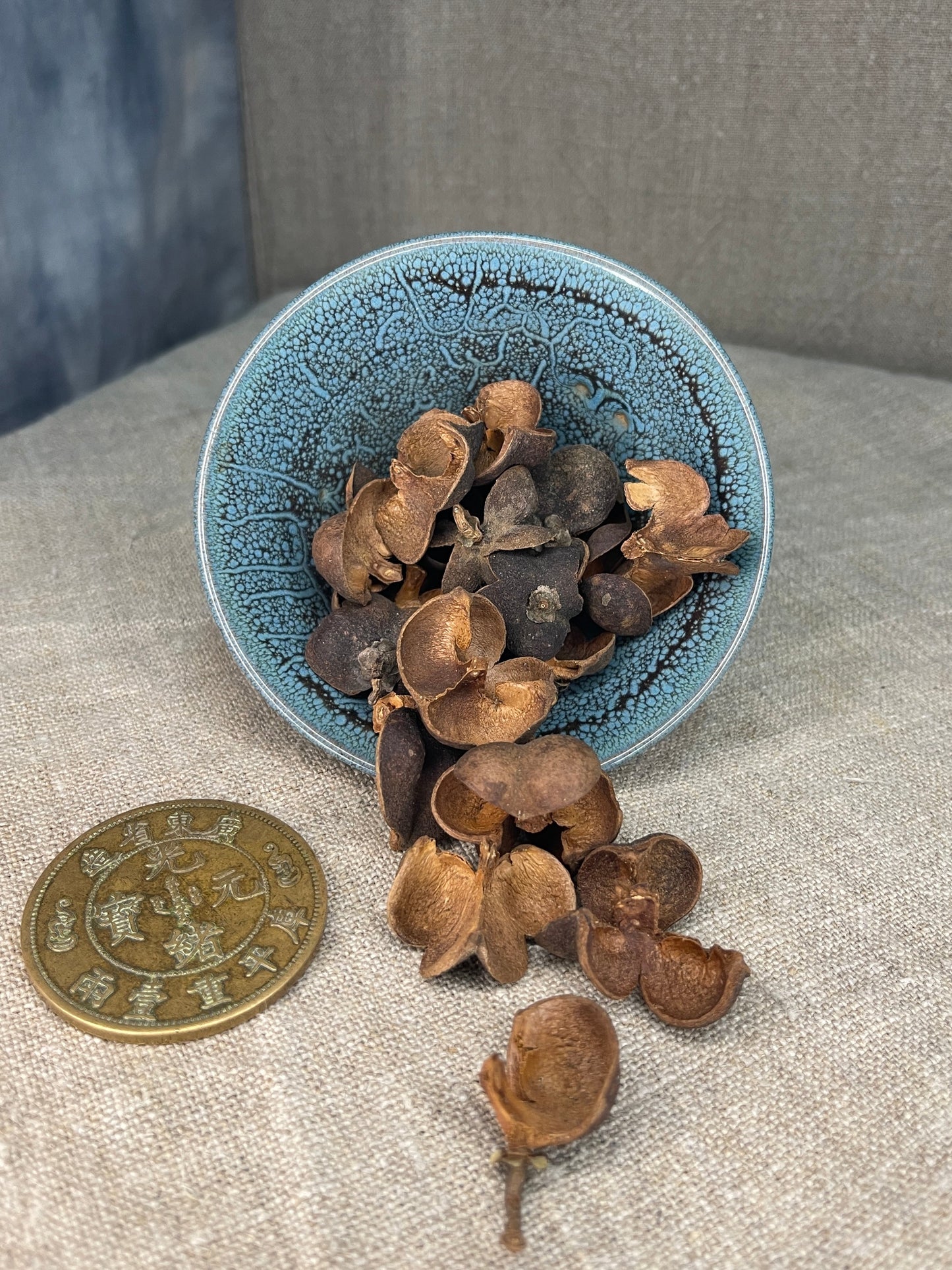 ЧАЙНЕ НАСІННЯ