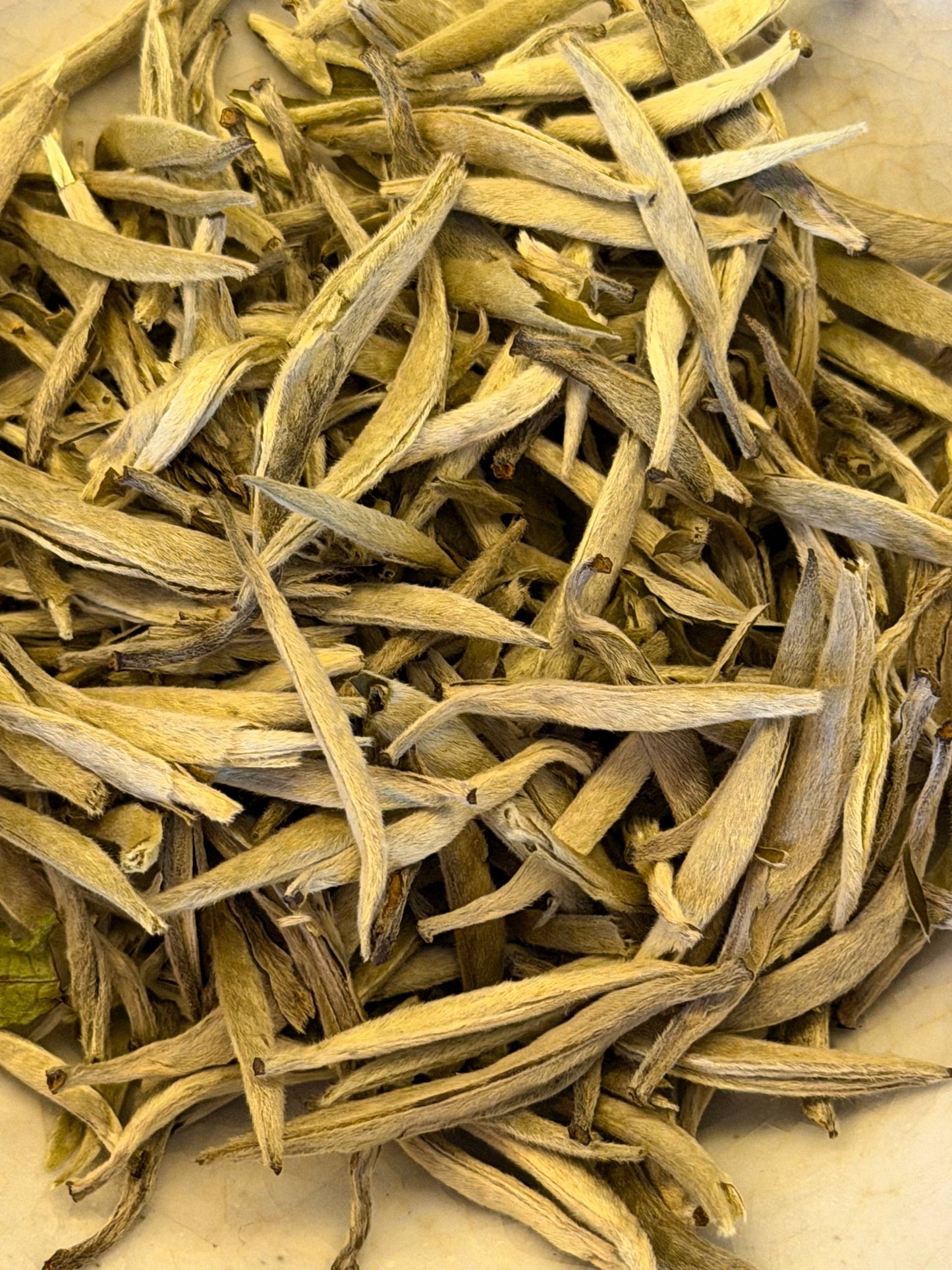 BIAŁY PĄCZEK BAI HAO YIN ZHEN